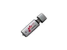 USB Drives - Au 011a